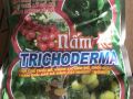 Trichoderma 